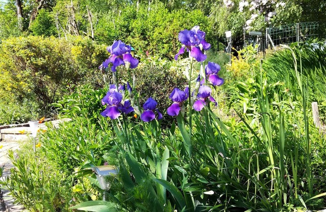 Les Jardins de Camelot