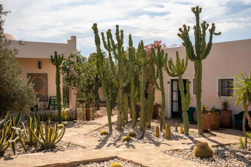 Les jardins de Mogador, La Villa Cactus