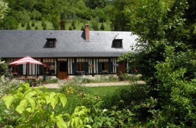 les orchidees sauvages