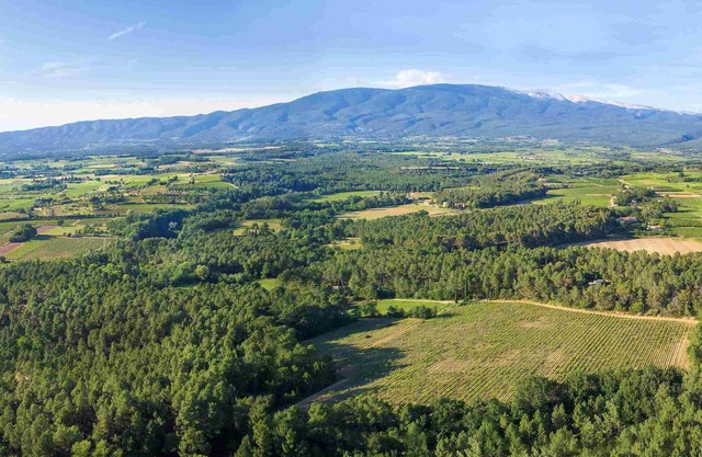 Les rois fainéants, the nature lodge
