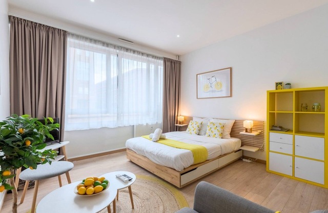 Lille gares Nice studio with private parking