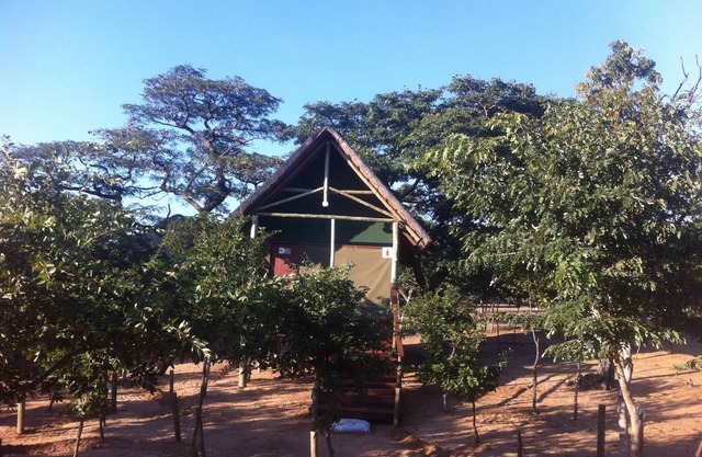 Lion Roars Lodge