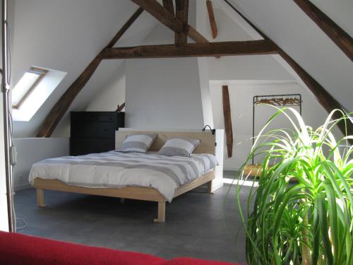 Loft du Petit Bois