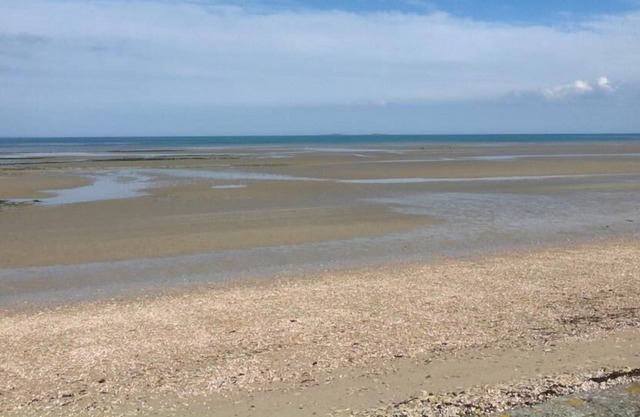 Loft, sea view, 40m from the beach, comfortable, on the landing beaches