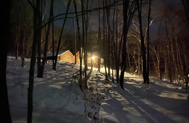 Log Cabin In The Woods