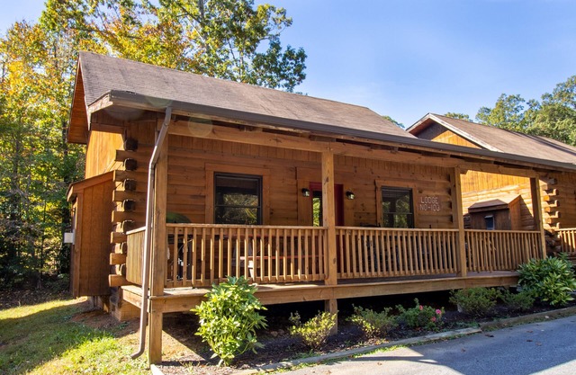 Log Cabin Multi Lvl Twin Wilderness Presidential