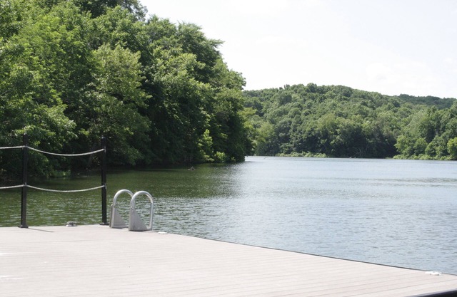 Log Home on Beaver Lake, Big Views, Big Fun!