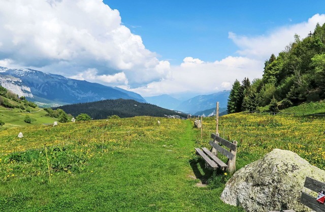 Lovely apartment for 4 people with WIFI, pool, TV, balcony, pets allowed and panoramic view