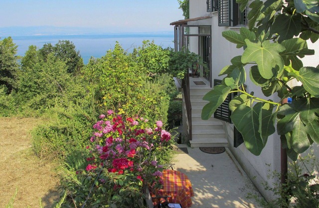 Lovely apartment for 5 guests with WIFI, A/C, TV and terrace