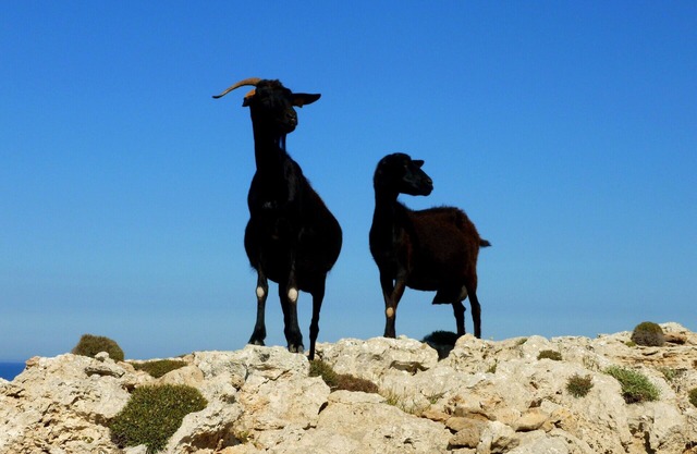 Lovely Santorini Villa | Terrace House | 1 Bedroom | Private Balcony with.