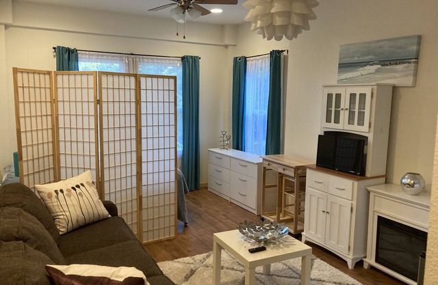 Lovely studio apartment with an indoor electric fire place