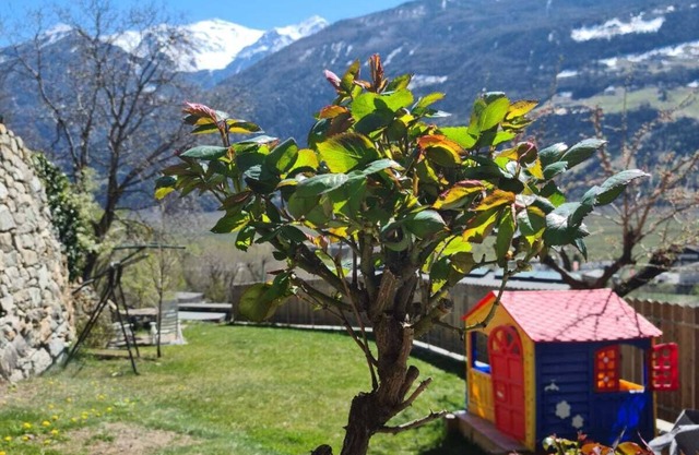 Lovely vacation apartment for active people and those seeking peace and quiet in Silandro/Schlanders.