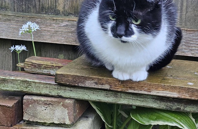 Lovely vacation room in idyllic surroundings.