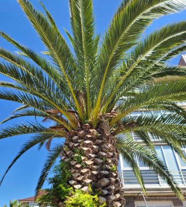 Luminoso Apartamento Playa Ris con garaje