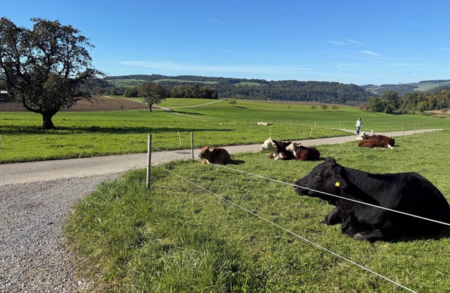 Lux Duplex apartment with Sauna & Cold plunge 10 mins from Zürich city