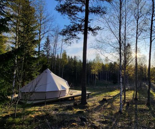 Luxe tent met uitzicht op het bos en met Sauna en hottub