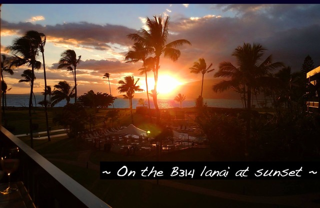 LUXURIOUS ~ 1 bdrm 2 bath Sleeps 4 ~ BEAUTIFULLY DECORATED OCEAN FRONT CONDO