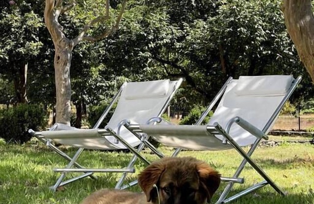 Luxurious apartment at Quinta do Areal country house