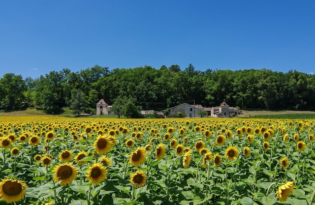 Luxury 1 bd gite. Rural & Peaceful. Eymet just 5 mins away. Fast Starlink WIFI.