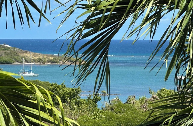 Luxury 4 Bedroom Villa St. Croix. Private Pool and Ocean View. Judith's Fancy