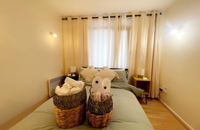 Luxury Apartment Near City Airport!