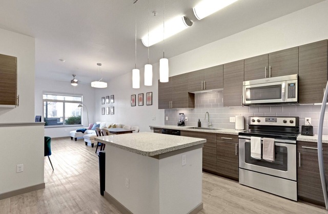 Luxury Apartment with Amenities