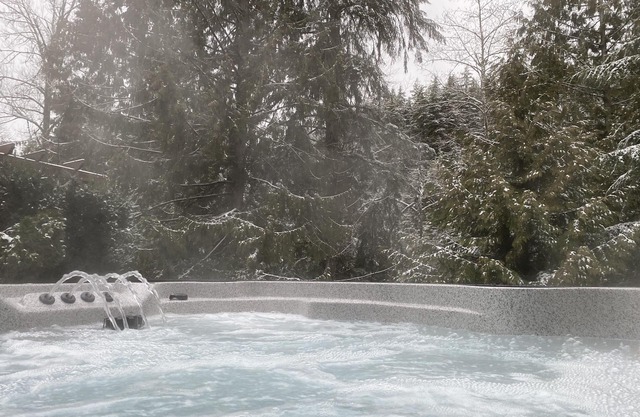 Luxury Buntzen Lake Retreat w/ 7 Person Salt Water Hot Tub!