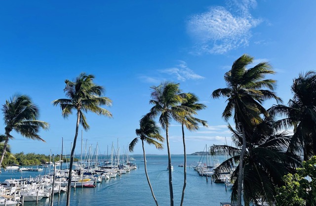 Luxury/Cozy 1-bedroom apartment in adorable Marina View Isleta Marina, Fajardo