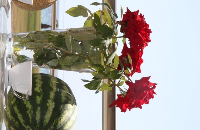 Luxury House by the sea, villa by the sea Halkidiki, AM house house for rent