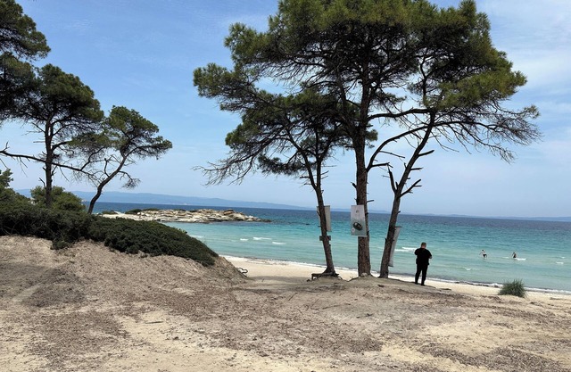 Luxury Rental Villa for 14 People