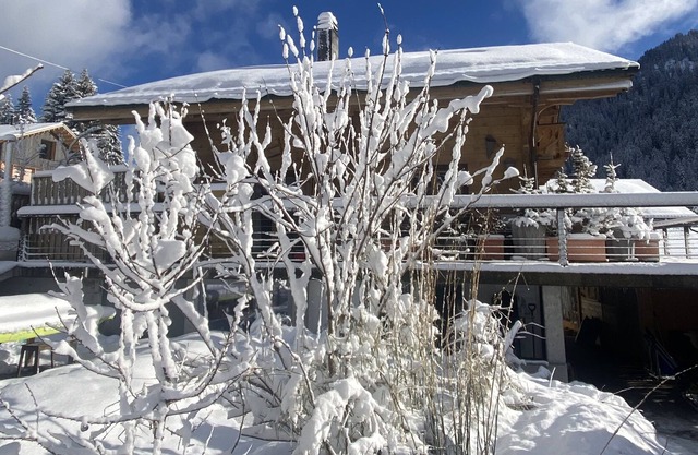 Luxury & Romantik Husky Chalet, ski in & out
