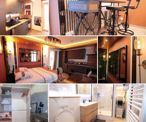 Luxury Studio, Rez de chaussée, Parking privé vidéo surveillance, Canapé haute qualité convertible couchage 2 personnes, Centre Ville proche, Restaurant, boulangerie 2 minutes à pied, Terrasse - 800mètre carré de terrain - Géré par Presta-Zen'Services