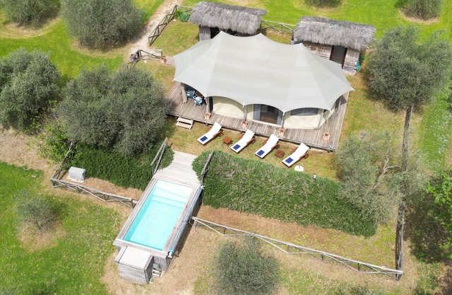 Luxury Tent Experience into Tuscany Olives Grooves Hill