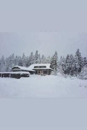 LYNX HOUSE