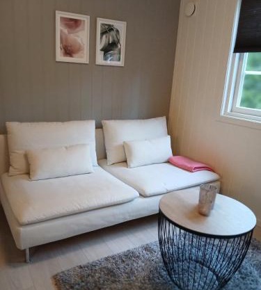 Lys og moderne leilighet i Bø.