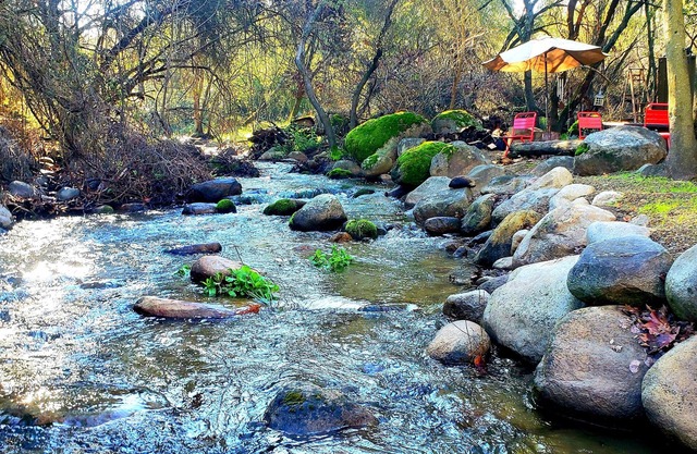 Magical River House ! near Sequoia Park, Hot Tub - SPA, 2 decks, BBQ, Firepit🔥