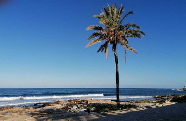 Magnolia - near town and beaches