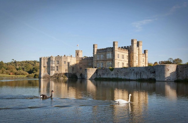 Maidstone Spacious 3 Bedroom House