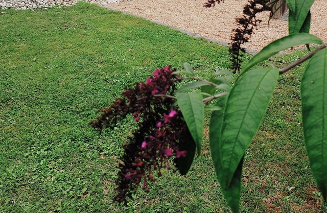 Maison à la Campagne