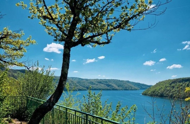 Maison Bord du lac de Vouglans Maisod Jura
