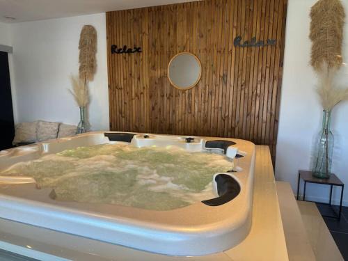 Maison spacieuse spa & jardin