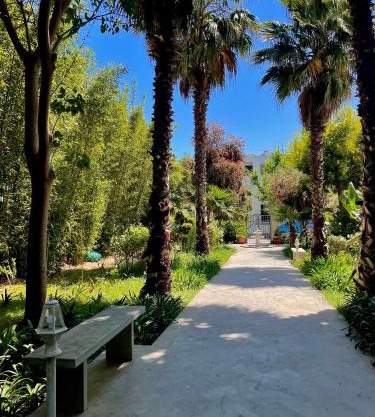 Majorelle, une bouffée d'oxygène