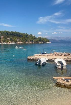 Mala Basina -Maslina