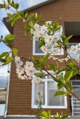 Malina guest house