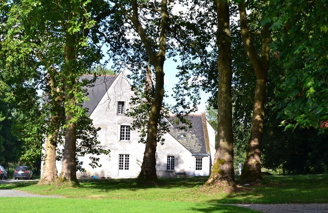 Manor with swimmingpool in heart of the Loire Valley -Up to 15people-