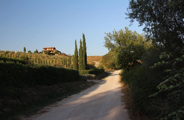 MAREMMA WHAT A VIEW! - CIN EN053002C2OA855DZE