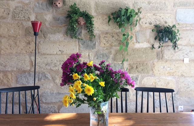 Mas in the countryside 15 minutes from Avignon and 30 minutes from Arles, with large garden