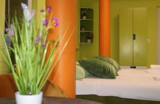 MASLINAnChic studio with AC, WiFi, fitness room in fabulous Zagreb