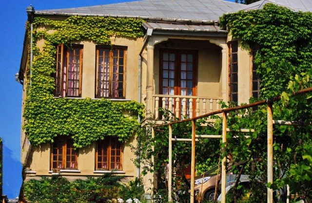 Maximus Wine Cellar & Guest House,Bagdati Wine House