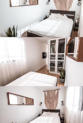 Mcs בין הזיתים